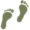 👣