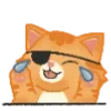 🐱