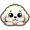 🐶
