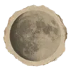 🌚