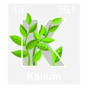 🧪