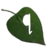 🔤