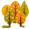 🍂