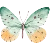 🦋
