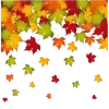 🍂