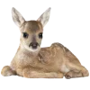 🦌