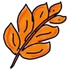 🍂