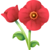 🌺