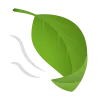 🌿