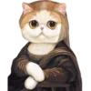 🐱