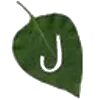 🔤