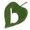 🔤