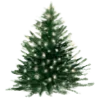🎄