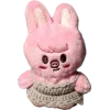 🐷