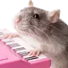 🐹
