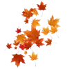 🍂