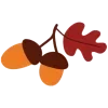 🍂