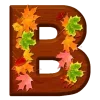 🍂