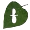 🔤
