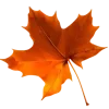 🍂