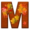 🍂