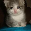 🥺