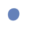 🔵