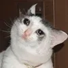 🥺