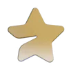 🌟