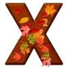 🍂
