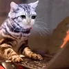💻