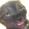🤪
