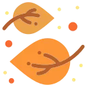 🍂