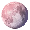 🌕