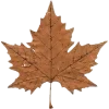 🍁
