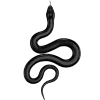 🐍