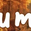 🍂