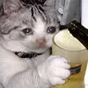🍺