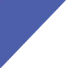 🔵