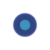 🔵