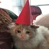 🥺