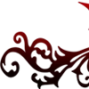 🩸