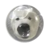 🐻‍❄️