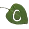 🔤