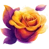 🌹