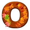🍂