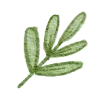 🌿