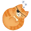 😴