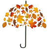 🍂