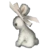 🐰